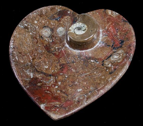 Heart Shaped Fossil Goniatite Dish #8870